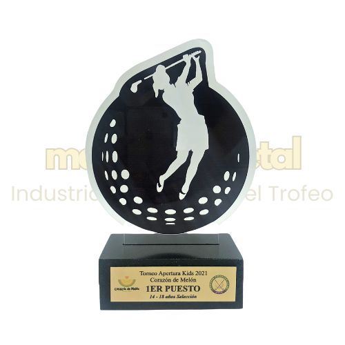 Imagen de Trofeo de Acrílico - M1.5561